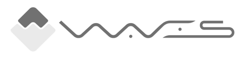Waves - Récapitulatif DEX